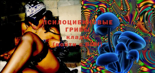 Альфа ПВП Алексеевка
