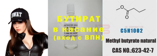 шишки Магас
