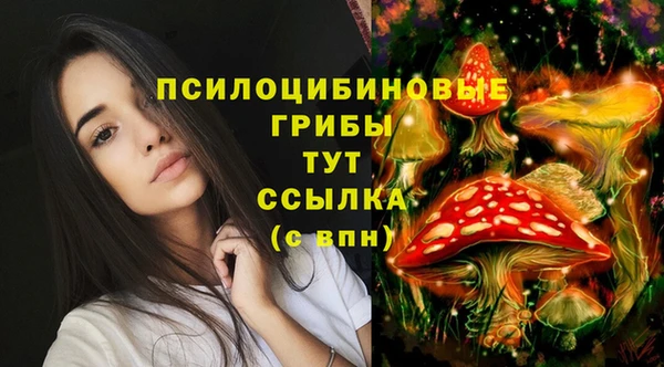 ECSTASY Алексин