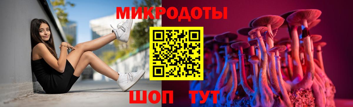 Галлюциногенные грибы Cubensis Ковров