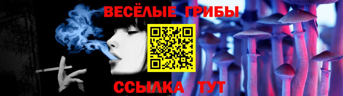 Ковров  Псилоцибиновые грибы Magic Shrooms  где продают наркотики  Вход с VPN 